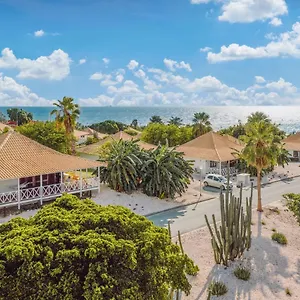 Papagayo (adults Only) Willemstad